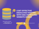 Cost-Effective-Dedicated-Hosting-With-SSD-Improving-Website-Speed