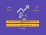 Cost-Effective-Dedicated-Hosting-With-SSD-Improving-Website-Speed